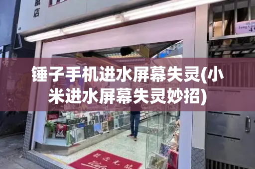锤子手机进水屏幕失灵(小米进水屏幕失灵妙招)-第1张图片-星选测评