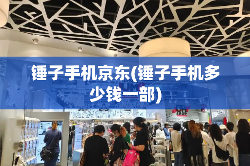 锤子手机京东(锤子手机多少钱一部)