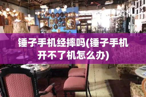 锤子手机经摔吗(锤子手机开不了机怎么办)-第1张图片-星选测评