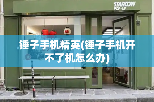 锤子手机精英(锤子手机开不了机怎么办)-第1张图片-星选测评