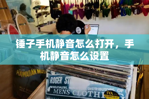 锤子手机静音怎么打开，手机静音怎么设置-第1张图片-星选测评