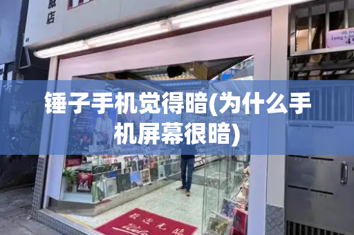 锤子手机觉得暗(为什么手机屏幕很暗)-第1张图片-星选测评