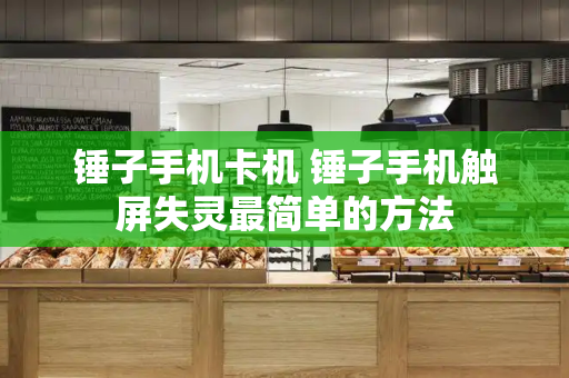 锤子手机卡机 锤子手机触屏失灵最简单的方法-第1张图片-星选测评