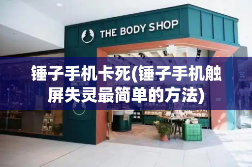 锤子手机卡死(锤子手机触屏失灵最简单的方法)-第1张图片-星选测评