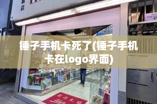 锤子手机卡死了(锤子手机卡在logo界面)-第1张图片-星选测评