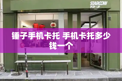 锤子手机卡托 手机卡托多少钱一个-第1张图片-星选测评