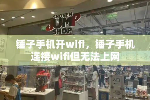 锤子手机开wifi，锤子手机连接wifi但无法上网-第1张图片-星选测评