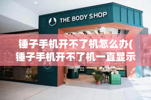 锤子手机开不了机怎么办(锤子手机开不了机一直显示logo)-第1张图片-星选测评