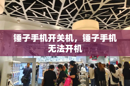 锤子手机开关机，锤子手机无法开机-第1张图片-星选测评