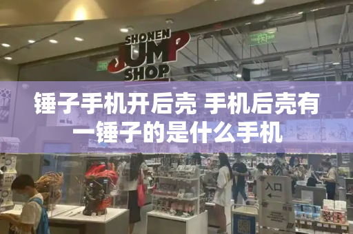 锤子手机开后壳 手机后壳有一锤子的是什么手机-第1张图片-星选测评