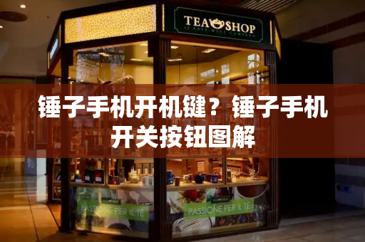 锤子手机开机键？锤子手机开关按钮图解-第1张图片-星选测评