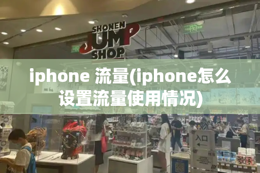 iphone 流量(iphone怎么设置流量使用情况)