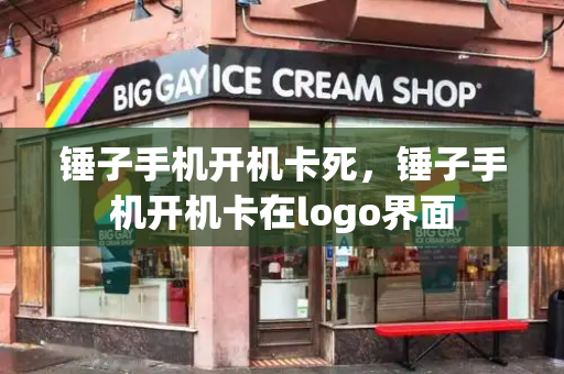 锤子手机开机卡死，锤子手机开机卡在logo界面-第1张图片-星选测评