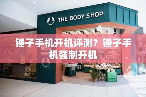 锤子手机开机评测？锤子手机强制开机-第1张图片-星选测评