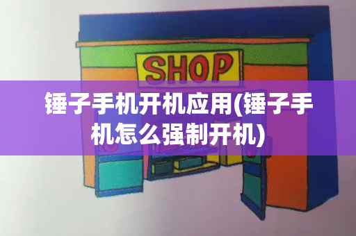 锤子手机开机应用(锤子手机怎么强制开机)-第1张图片-星选测评