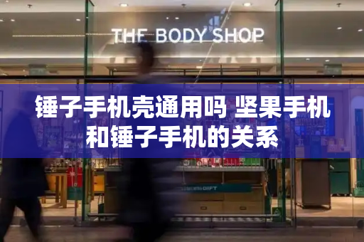 锤子手机壳通用吗 坚果手机和锤子手机的关系