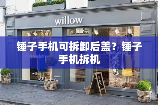 锤子手机可拆卸后盖？锤子手机拆机