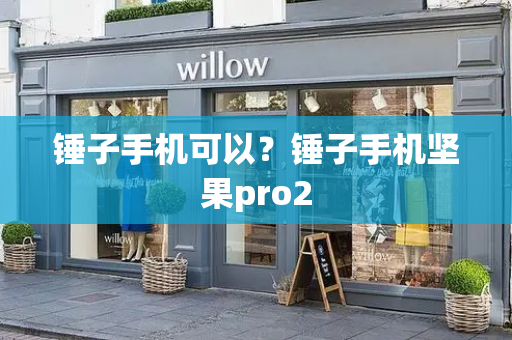 锤子手机可以？锤子手机坚果pro2-第1张图片-星选测评