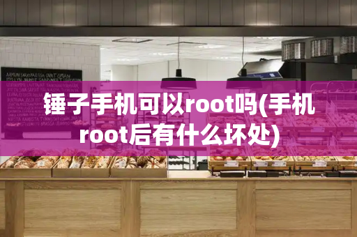 锤子手机可以root吗(手机root后有什么坏处)-第1张图片-星选测评
