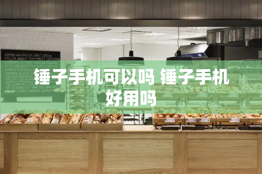 锤子手机可以吗 锤子手机好用吗