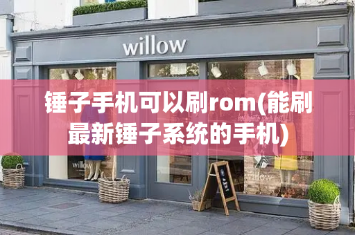 锤子手机可以刷rom(能刷最新锤子系统的手机)-第1张图片-星选测评