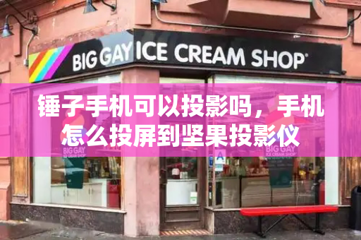 锤子手机可以投影吗，手机怎么投屏到坚果投影仪-第1张图片-星选测评