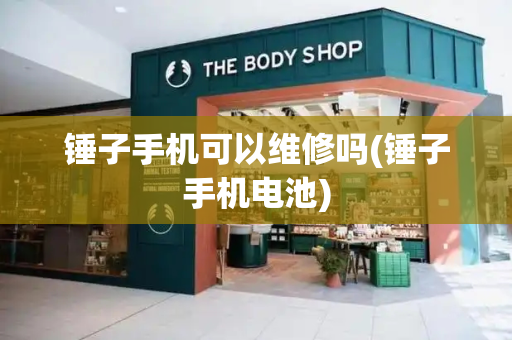 锤子手机可以维修吗(锤子手机电池)