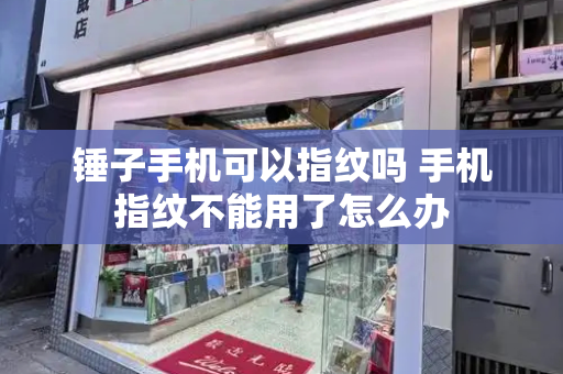 锤子手机可以指纹吗 手机指纹不能用了怎么办