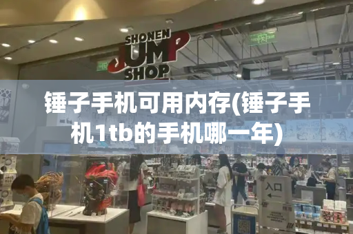 锤子手机可用内存(锤子手机1tb的手机哪一年)-第1张图片-星选测评