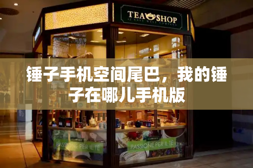 锤子手机空间尾巴，我的锤子在哪儿手机版