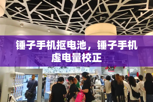锤子手机抠电池，锤子手机虚电量校正