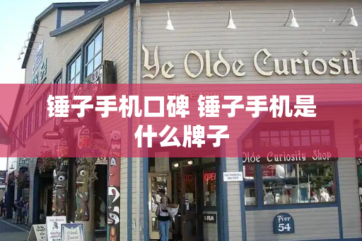 锤子手机口碑 锤子手机是什么牌子-第1张图片-星选测评