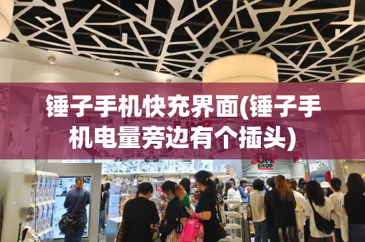 锤子手机快充界面(锤子手机电量旁边有个插头)