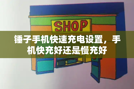锤子手机快速充电设置，手机快充好还是慢充好