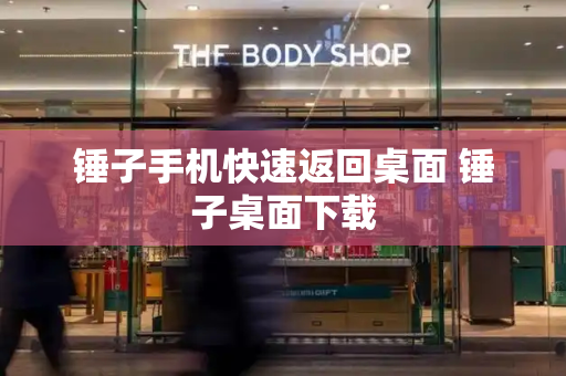 锤子手机快速返回桌面 锤子桌面下载