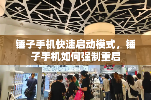 锤子手机快速启动模式，锤子手机如何强制重启