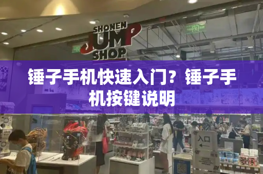 锤子手机快速入门？锤子手机按键说明-第1张图片-星选测评