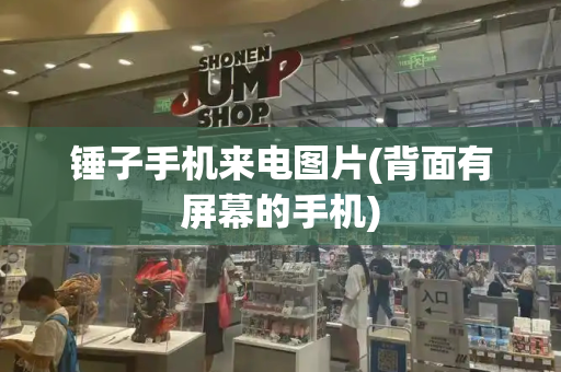 锤子手机来电图片(背面有屏幕的手机)