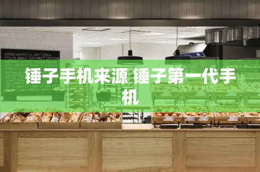 锤子手机来源 锤子第一代手机-第1张图片-星选测评