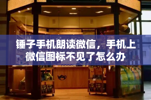锤子手机朗读微信，手机上微信图标不见了怎么办