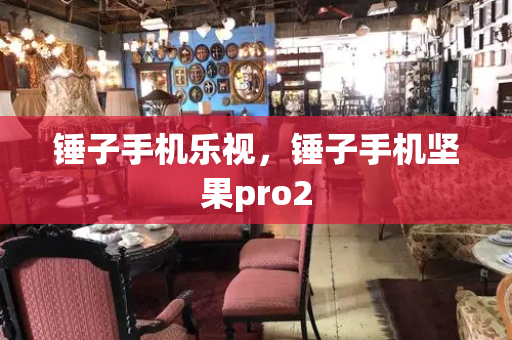 锤子手机乐视，锤子手机坚果pro2-第1张图片-星选测评