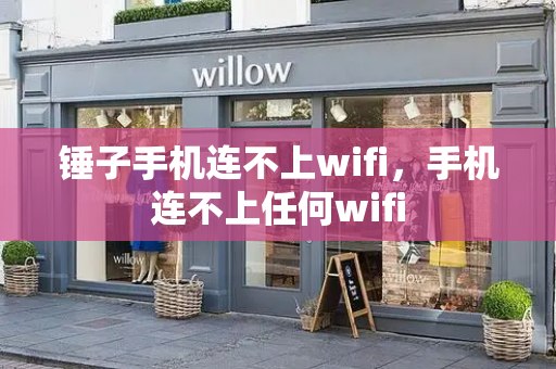 锤子手机连不上wifi，手机连不上任何wifi