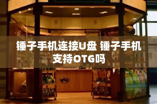 锤子手机连接U盘 锤子手机支持OTG吗-第1张图片-星选测评