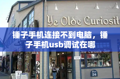 锤子手机连接不到电脑，锤子手机usb调试在哪