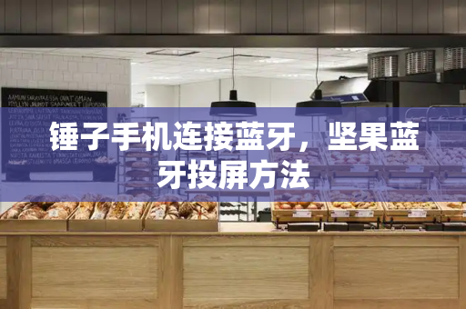 锤子手机连接蓝牙，坚果蓝牙投屏方法-第1张图片-星选测评