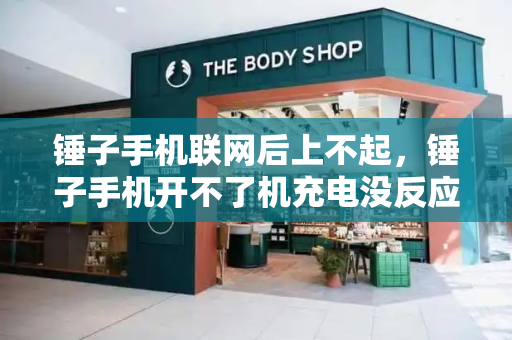 锤子手机联网后上不起，锤子手机开不了机充电没反应