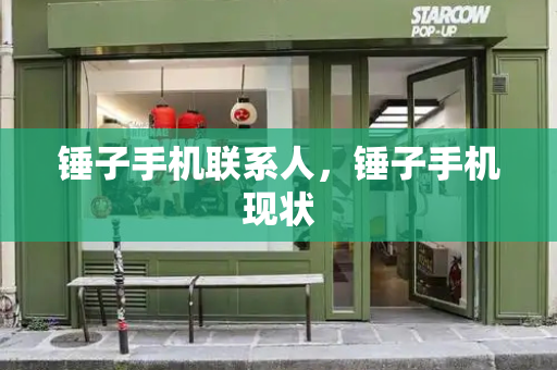 锤子手机联系人，锤子手机现状-第1张图片-星选测评