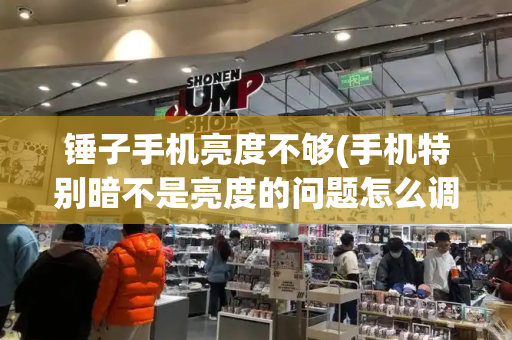 锤子手机亮度不够(手机特别暗不是亮度的问题怎么调)-第1张图片-星选测评