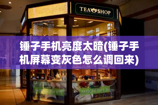 锤子手机亮度太暗(锤子手机屏幕变灰色怎么调回来)