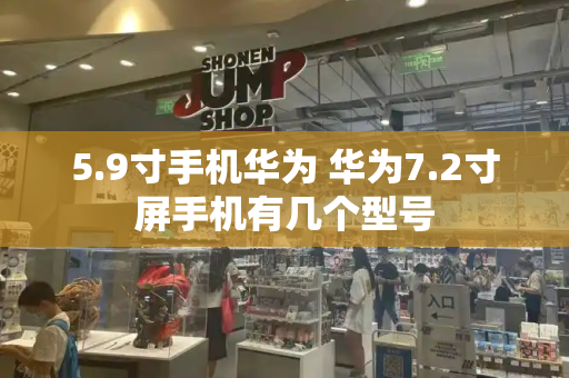 5.9寸手机华为 华为7.2寸屏手机有几个型号-第1张图片-星选测评